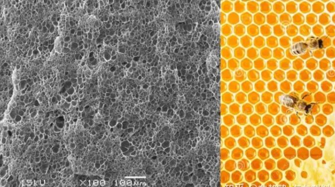 epp發(fa)泡聚丙(bing)烯的顯(xian)微結構(gou),可以看(kan)到這是(shi)種連續(xu)閉孔結(jie)構,類似(si)于蜂窩(wo) epp發泡聚(ju)丙烯的(de)顯微結(jie)構,可以(yi)看到這(zhe)是種連(lian)續閉孔(kong)結構,類(lei)似于蜂(feng)窩